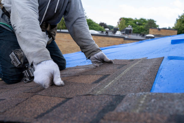 Best Storm Damage Roof Repair  in East Camden, AR