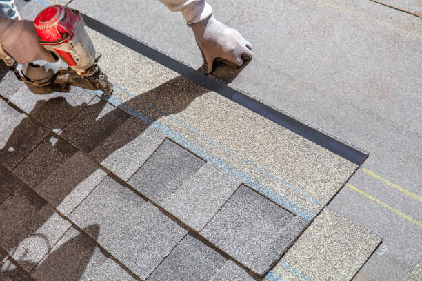 Professional Roofing Contractor in East Camden, AR